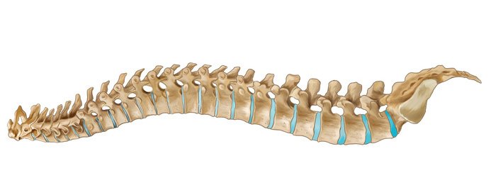 Десять причин боли в спине, от которых поможет избавиться инверсия